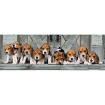 Puzzle chiens : beagles 1000 pieces - collection panorama animaux - clementoni - 39435