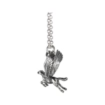 Harry Potter - Pendentif et collier argent Buck