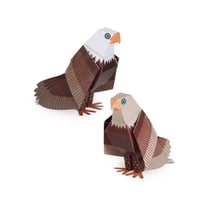 MAXI AIGLE À TÊTE BLANCHE