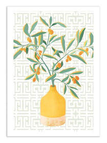 Affiche 50 x 70 cm -  Chinese citrus tree - Kristian Gallagher