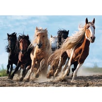 Trefl - 10446 - puzzle ''les chevaux au galop'' 1000 pièces -