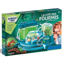 La cité des fourmis - labo science et jeu - fourmilière, insectes - Clementoni