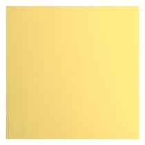Papier cartonné lisse Florence - Asparagus - 20 feuilles - 30,5 x 30,5 cm - 216 g/m²