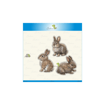 3 Dies lapins