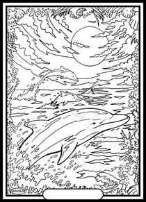 Tableau velours a colorier DAUPHIN CREPUSCULE Sericolor