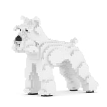 Chien Schnauzer Moyen blanc Taille standard | JEKCA | 14 ans et +