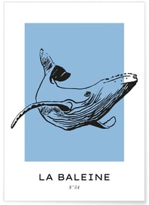 Affiche La baleine | A3 : 29,7x42cm
