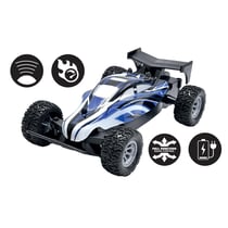 Mini Buggy Crosslander