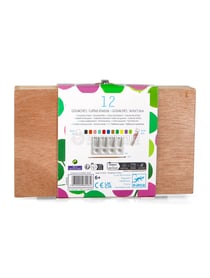 Coffret d'artiste - Peinture - Djeco - Multicolore - Coffret d'artiste 12 Gouaches