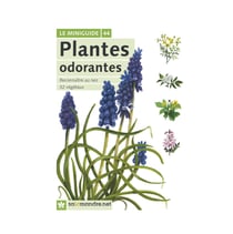 Miniguide 44 - Plantes odorantes