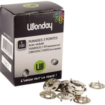 Boite de 100 Punaises 3 Pointes Acier Nickelé