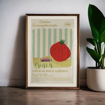 Poster - Coeur de boeuf d'Albenga