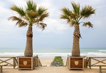 Puzzle 1000 pièces - Plage de Lacanau, France - Bluebird Puzzle