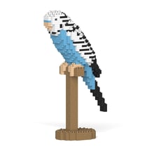 Perruche ondulée bleue | JEKCA | 14 ans et +