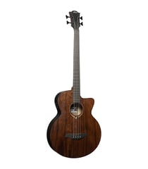 Lâg SAUVAGE-BCE - Basse électro-acoustique sauvage