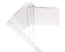 Drapeaux en carton sur tige à colorier 10x16 cm 20 pièces