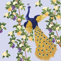Lot de 4 serviettes en papier découpage collage 33 cm OISEAU PAON O 108
