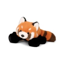 Sierra - Le panda roux allongé