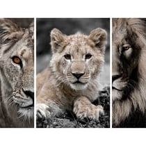 Triptyque sur toile famille de lions 125x97 cm