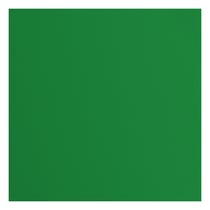 Papier cartonné texturé Florence - Broccoli - 20 feuilles - 30,5 x 30,5 cm - 216 g/m²