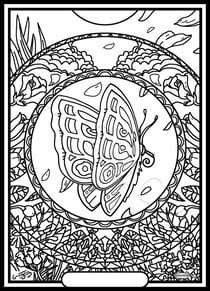 Tableau velours a colorier MANDALA PAPILLON Sericolor