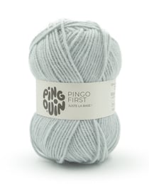 Pingo First