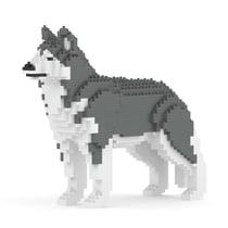 Chien Husky gris Taille standard | JEKCA | 14 ans et +