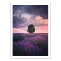 Affiche 30x40 cm - Lavender Fields - Cuma Cevik