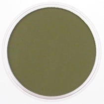PANPASTEL 9ml Hansa yellow Extra Dark