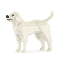 Chien Labrador Retriever crème Taille standard | JEKCA | 14 ans et +