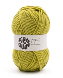 Pingo First
