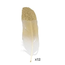 12 plumes dorées à paillettes