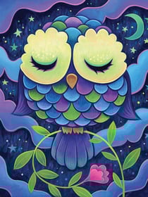 Kit diamond painting Midnight owl 30 x 40 cm