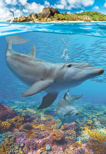 Puzzle 250 pièces - Save the Planet - Dolphins - Eurographics