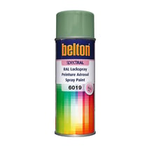 Spray de peinture Belton Spetral RAL6019 vert pastel 400ml