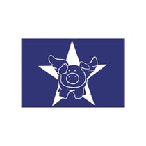 Rayher - Pochoir spécial textile A5 Star-Pig + raclette