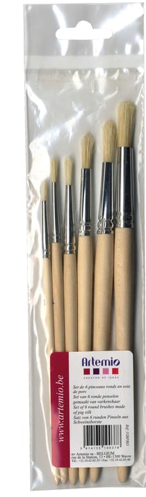 SET 6 PINCEAUX ROND - SOIE DE PORC