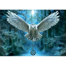 Puzzle chouette : réveille ta magie 500 pièces - collection fantastique - educa - 17959