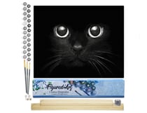 Peinture par Numéro Figured'Art - Tête de Chat noir - Kit de Loisir Créatif DIY Numéro d'Art Complet - 40x50cm toile roulée + châssis en bois à monter