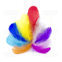 Plumes embelissement décoration scrapbooking Fabrika Décoru MULTICOLORE 001