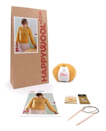 Kit Tricot Pull Femme Drucila MIEL 38/40