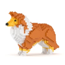 Chien Berger des Shetland marron Taille standard | JEKCA | 14 ans et +