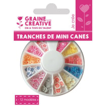 Graine Créative - Tranches de canes MINI MINI Fleur pastel