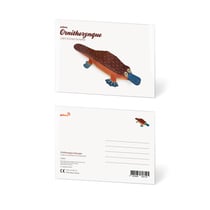 CARTE POSTALE ORNITHORYNQUE