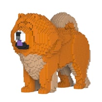 Chien Chow Chow mâle roux Taille standard | JEKCA | 14 ans et +