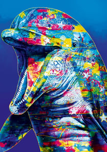 Puzzle 1000 pièces - Dolphin - Bluebird Puzzle