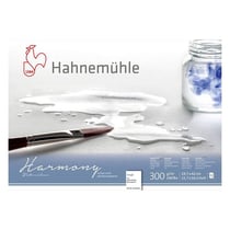 Bloc aquarelle Harmony 300g/m2 12feuilles grain torchon A3 - Hahnemühle