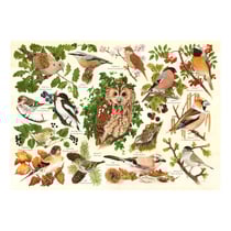 Puzzle 500 pièces - Pièces XXL - Oiseaux Des Bois - HOP - House of Puzzles