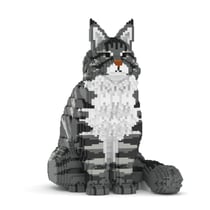 Chat Maine Coon gris assis | JEKCA | 14 ans et +