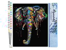 Peinture par Numéro Figured'Art - Peinture Elephant - Kit de Loisir Créatif DIY Numéro d'Art Complet - 40x50cm sans châssis en bois